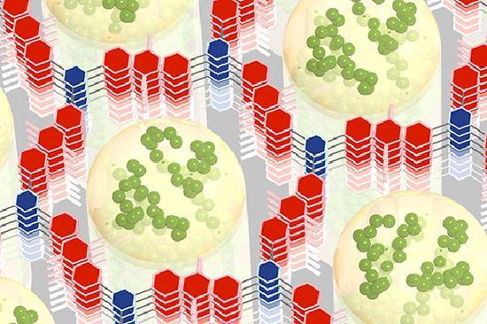 美国发明改性氧化还原COF 加速充电速度