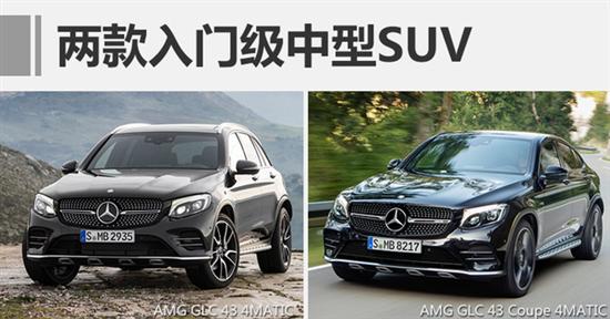 奔驰amg 50周年庆典 年内引入11款新车