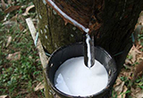 多因素推全球橡膠需求激增 價格創(chuàng)5年新高