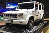 2017上海車(chē)展 新能源SUV車(chē)型TOP 10