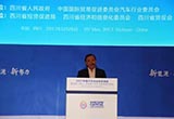 王俠：核心技術(shù)不能寄希望于商業(yè)模式
