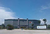 在國(guó)內(nèi)布局電池工廠？這些車(chē)企走在了前面