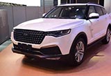 眾泰汽車再更名 去掉“安徽”二字