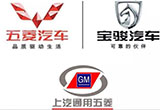 寶駿邁入百萬俱樂部 上汽通用五菱難達(dá)銷量