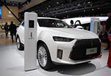 WEY品牌全年銷量達8.6萬 將推多款新車