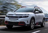 2019迎100周年 雪鐵龍將在華推7款紀念車型