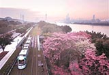 未來有軌電車規(guī)劃 重點(diǎn)考慮外圍城區(qū)