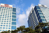 現(xiàn)代起亞4月全球銷量增10% 國內(nèi)增101.9%