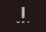 WEY品牌銷量承壓 長城汽車發(fā)力新能源