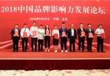 品牌影響力發(fā)布 眾泰汽車獨(dú)攬四項(xiàng)大獎(jiǎng)