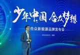推新品牌拿資質(zhì) 合眾新能源回應(yīng)公眾疑慮
