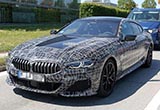 寶馬8系四門轎跑曝光 競爭對手為Panamera