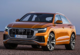 优雅与野性的碰撞 奥迪Q8新车图解