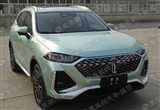 命名不按套路 WEY魏派新车型申报图曝光