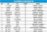 2020年度国内中大型车投诉排行榜