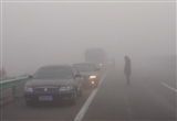 质用车：雾天开车险象环生 避险知识了解下