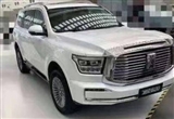 坦克600實(shí)車曝光 更大/更商務(wù)/更強(qiáng)悍