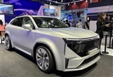 車展實(shí)拍魏牌全新SUV 造型設(shè)計(jì)炫酷