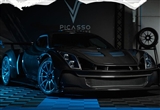 全碳纖維車身 Picasso 660 LMS官圖