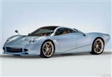 售價(jià)近5000萬 帕加尼Huayra Codalunga官圖