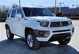 自研3.0T V6發(fā)動機 坦克700正式亮相