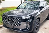 造型頗為大氣 奇瑞TJ-1實車圖曝光