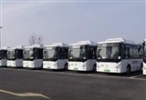 山東：開展公共領(lǐng)域車輛全面電動(dòng)化試點(diǎn)