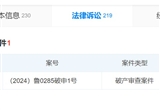高合母公司華人運通投資公司申請破產(chǎn)審查