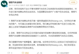 理想：沒有設立國內外銷售代理或授權經(jīng)銷商