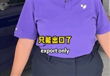 極越閃崩后坑慘迪拜員工 還有500臺庫存車