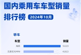 2024年10月國(guó)內(nèi)乘用車車型銷量排行榜