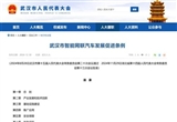 武漢正式公布智能網(wǎng)聯(lián)汽車發(fā)展促進(jìn)條例