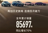 2024年新能源銷量排行榜：比亞迪遙遙領(lǐng)先