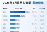 小鵬增速?gòu)?qiáng)勢(shì) 2025年1月乘用車銷量品牌榜