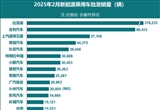 2025年2月新能源汽車廠商銷量榜發(fā)布