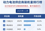 2025年2月電氣化供應(yīng)商裝機(jī)量排行榜：TOP10