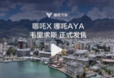 哪吒汽車：哪吒X與AYA在毛里求斯同時(shí)開售