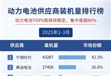 2025年1-3月電氣化供應(yīng)商裝機(jī)量排行榜