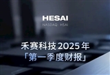 营收同比增长 禾赛科技发布2025年Q1财报