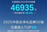 五菱银标6月销量增长38.8% 同比增速38.8%