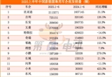 上半年新能源车销量TOP20：比亚迪超200万辆
