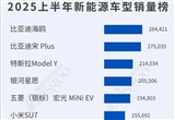 2025年上半年新能源车型/燃油车型销量榜