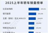 2025年上半年轿车和SUV车型销量榜公布