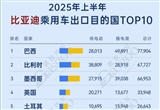 2025年上半年比亚迪乘用车出口TOP10国家