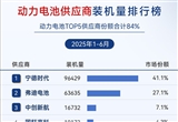 2025年1-6月电气化供应商装机量排行榜