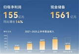 比亚迪2025半年报：海外收入大增1.3倍