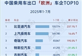 2025年7月中国乘用车出海 谁在领航？