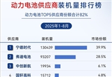 2025年1-8月電氣化供應(yīng)商裝機量排行榜