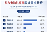 2025年1-9月電氣化供應(yīng)商裝機(jī)量排行榜