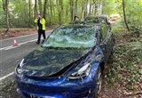 特斯拉Model 3被大樹砸中護住乘員安全